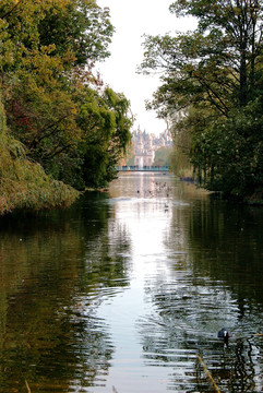 森林 河水 小河 公园 草坪