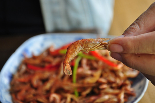 虾 虾干 虾米 河虾 小虾米