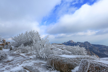 崂山风景