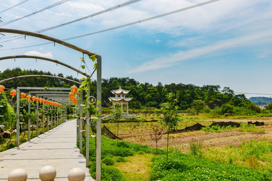 江南乡村