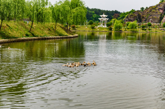 江南乡村