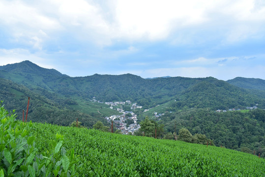 西湖龙井村全景