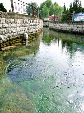 泗水 泉林 风景