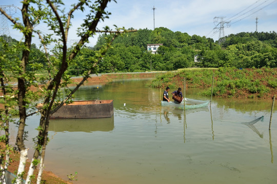 乡村0091821