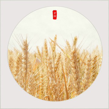 芒種 小品裝飾畫 合層