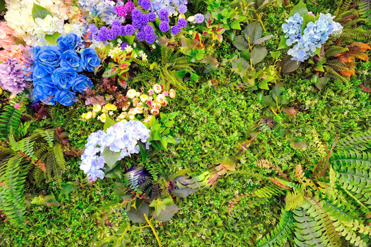 室内植物背景墙高清大图