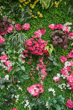 花卉植物背景墙