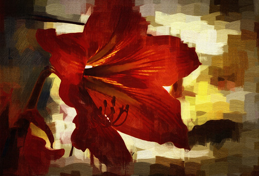 朱顶红 花卉油画