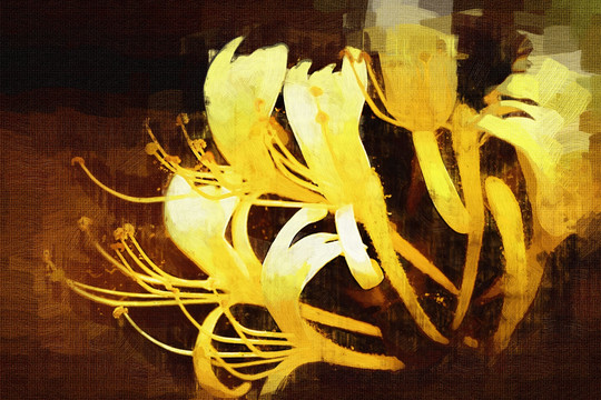 金銀花 花卉油畫