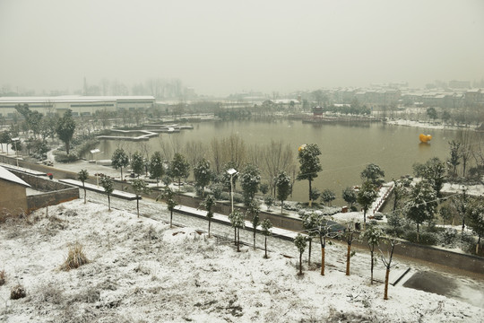 雪景