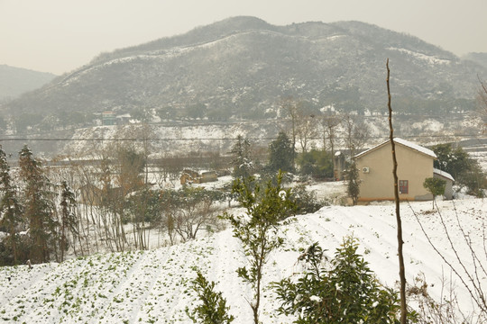 雪景