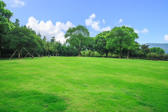 蓝天树林草地