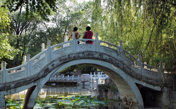 夏日公园丽影 优雅风景