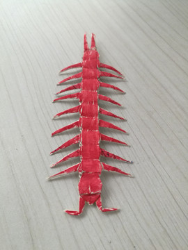 折纸昆虫