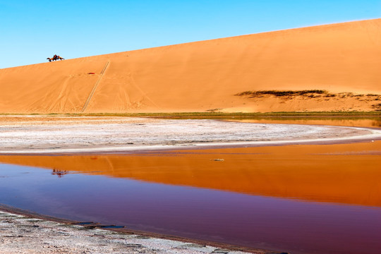 超高清沙漠变色湖泊倒影骆驼