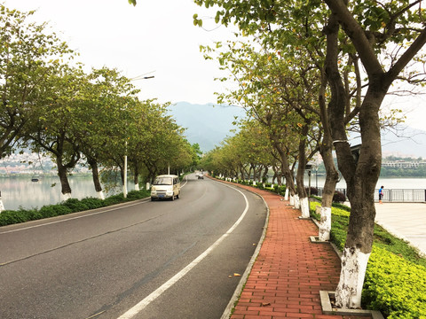 马路 道路绿化（新媒体图片）