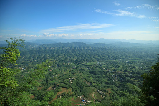 蜀南竹海 川南浅丘 百龟拜寿