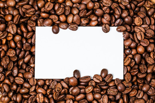 咖啡豆 咖啡概念 名片