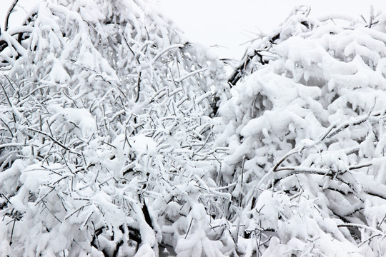 唯美雪景