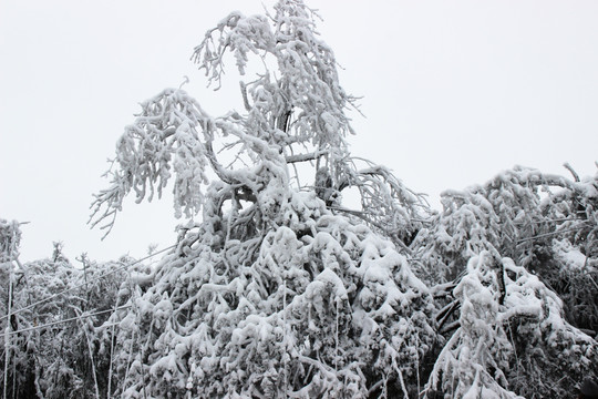 唯美雪山