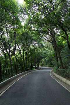 白云山登山路摩云路