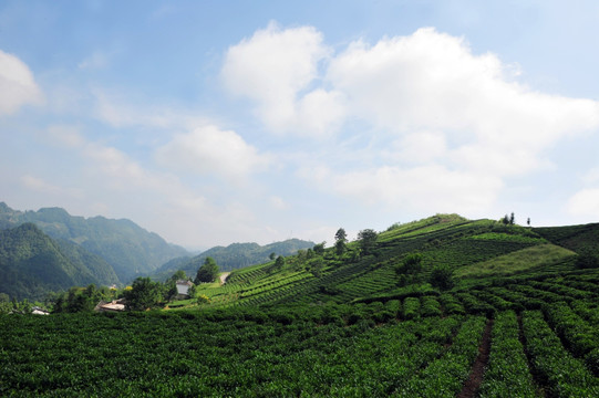 美丽农村风景风光