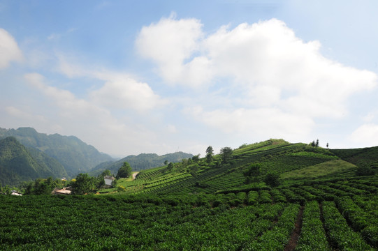 美丽农村风景风光