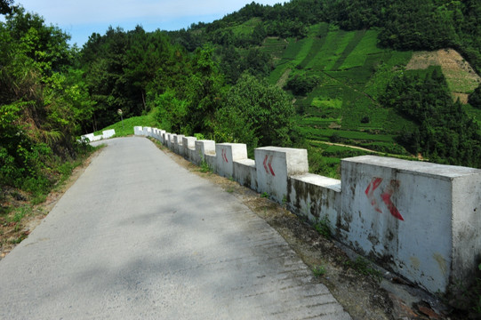 农村道路乡道摄影素材