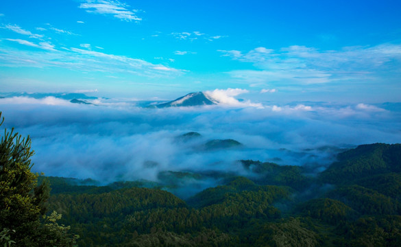 云海 洛阳山