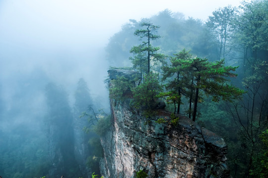 天子山