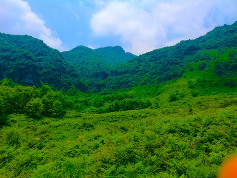 青山 绿野