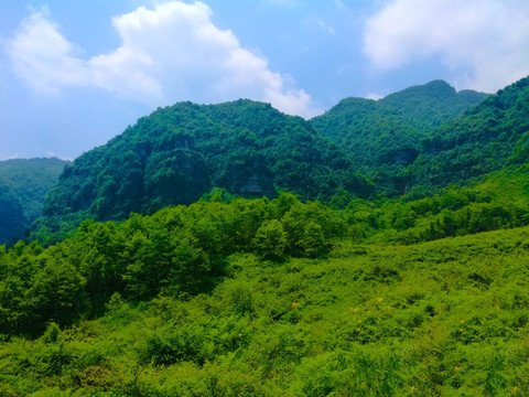 绿野 青山