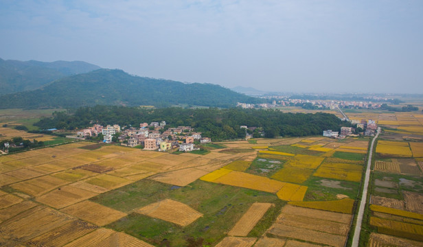 大地纹理 美丽乡村