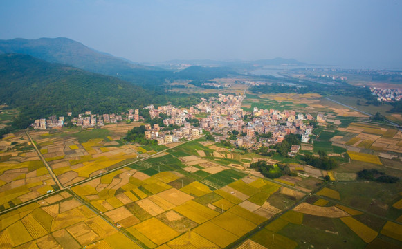 乡村 大地 秋色