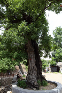 京西古村落水峪村