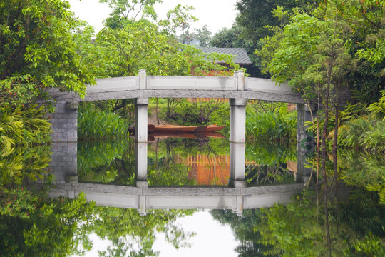 雨后的海珠湿地