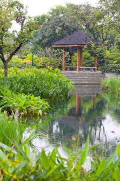 雨后的海珠湿地