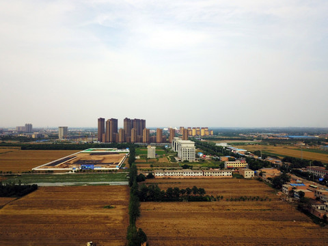 农忙季节收割小麦 麦田