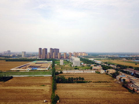 农忙季节收割小麦 乡村麦田