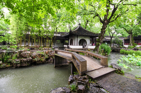 拙政园 雨景