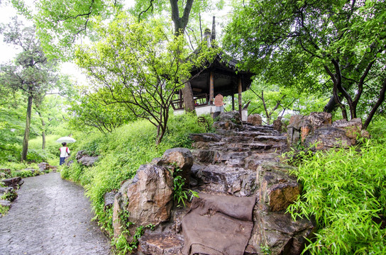 拙政园 雨景