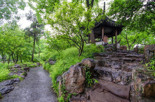 拙政园 雨景