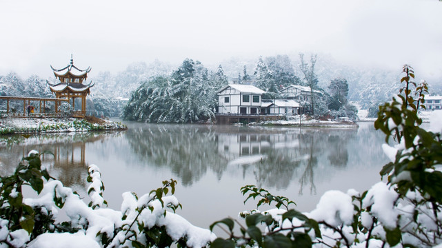 凤凰湿地公园雪景