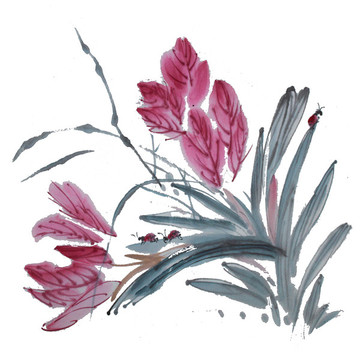 花鳥畫分層