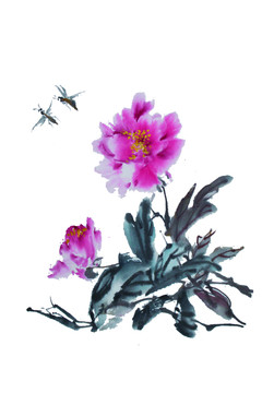 牡丹蜜蜂分層圖