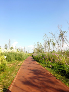 道路 风景