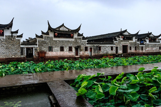 江南民居 白墙黛瓦