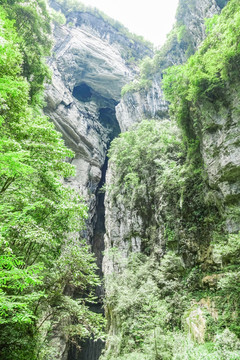 高山流水