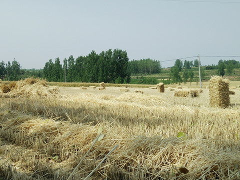 农村风景