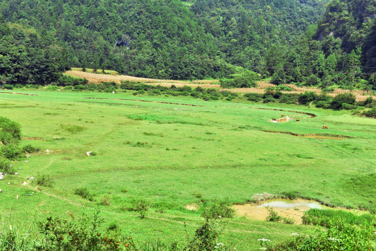 草原风景